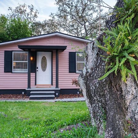 Vila House Near Tampa Zoo And Busch Gardens, Free High Speed Wifi Exteriér fotografie