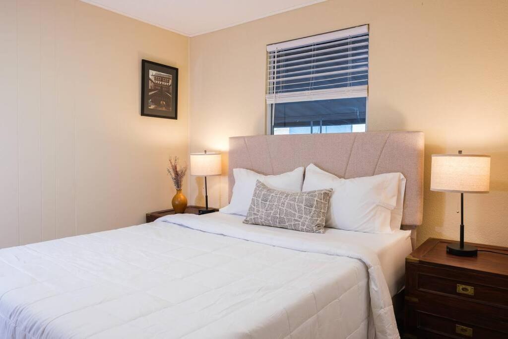 Vila House Near Tampa Zoo And Busch Gardens, Free High Speed Wifi Exteriér fotografie