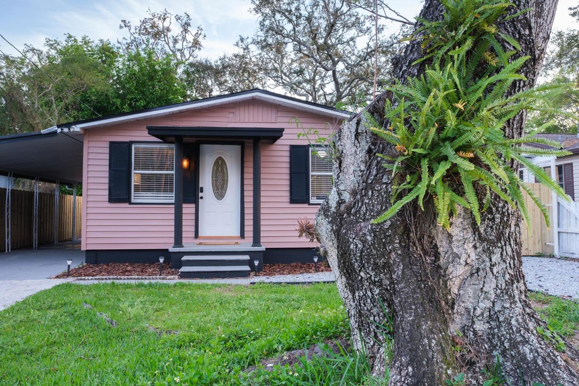Vila House Near Tampa Zoo And Busch Gardens, Free High Speed Wifi Exteriér fotografie