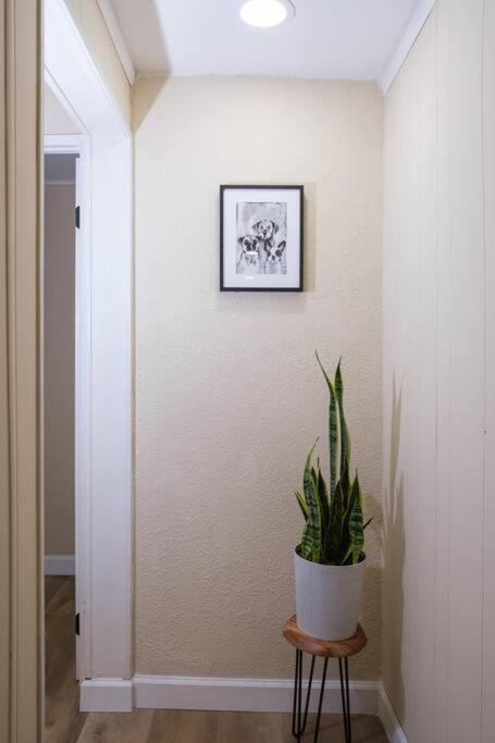 Vila House Near Tampa Zoo And Busch Gardens, Free High Speed Wifi Exteriér fotografie