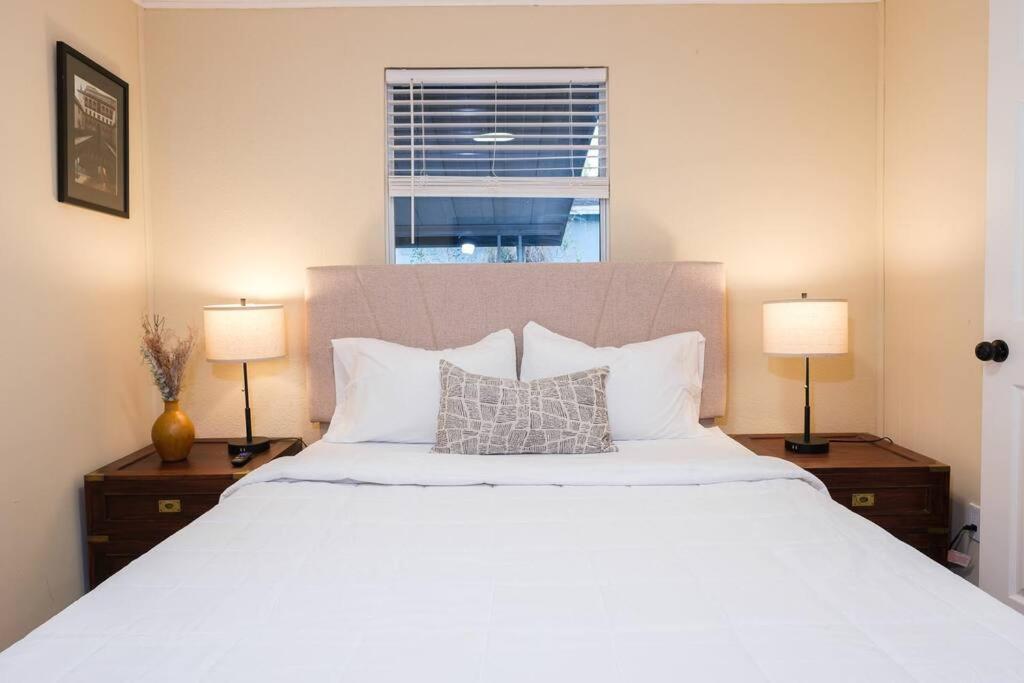 Vila House Near Tampa Zoo And Busch Gardens, Free High Speed Wifi Exteriér fotografie