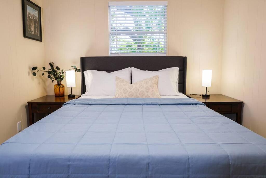 Vila House Near Tampa Zoo And Busch Gardens, Free High Speed Wifi Exteriér fotografie
